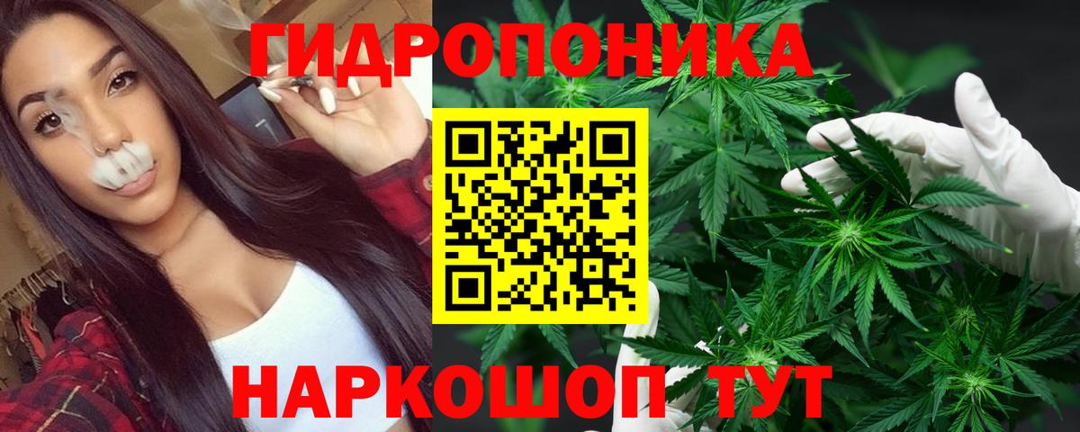 Конопля тримм Моздок